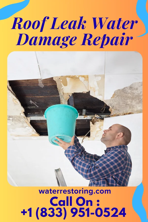 Roof Leak Water Damage Repair in Rothville, MO