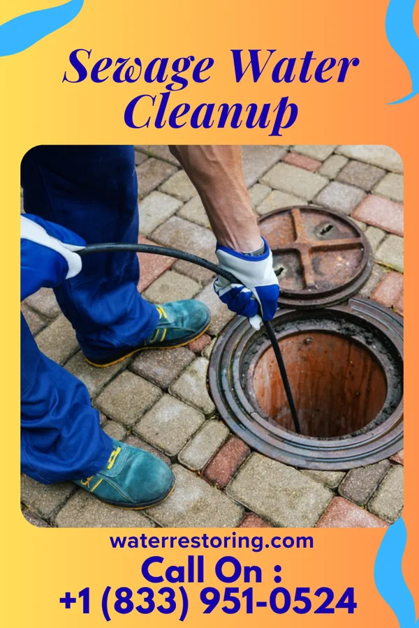 Sewage Water Cleanup in Rothville, MO